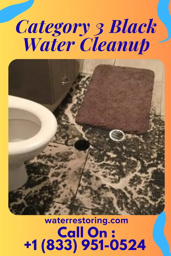Category 3 Black Water Cleanup in Juliaetta, ID