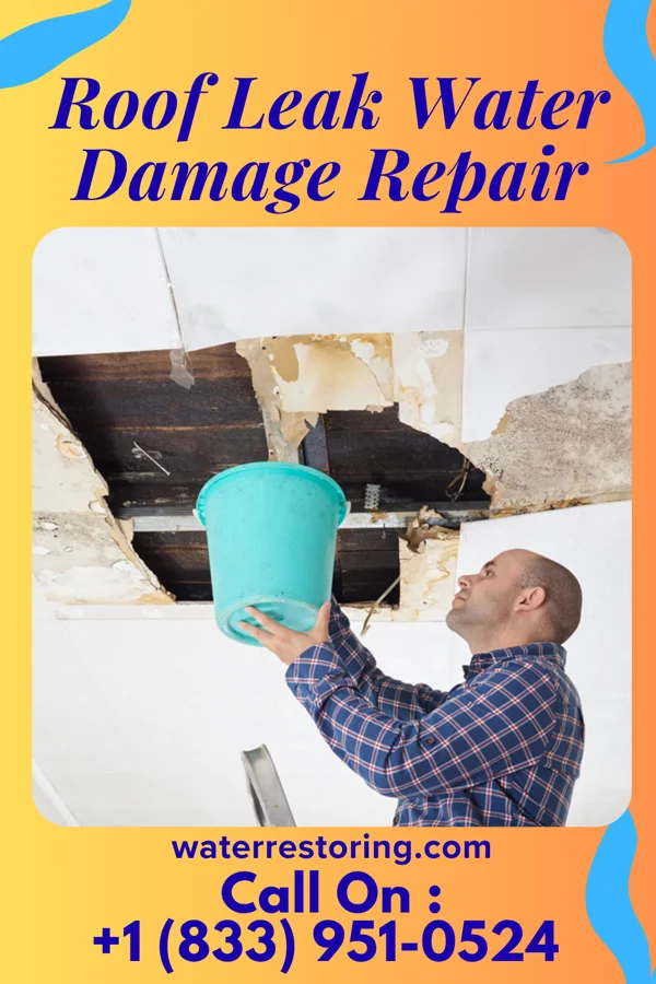 Roof Leak Water Damage Repair in Juliaetta, ID